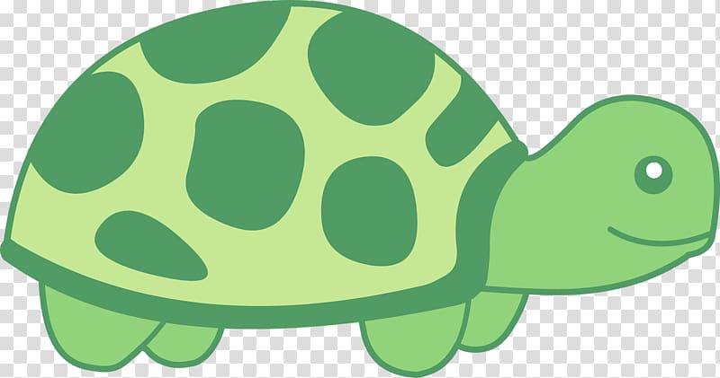 Sea turtle Reptile , turtle transparent background PNG clipart