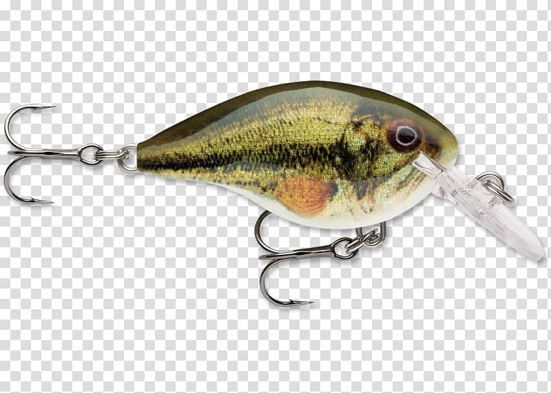 Fishing Baits & Lures Wart Rapala Green, Fishing transparent background PNG clipart