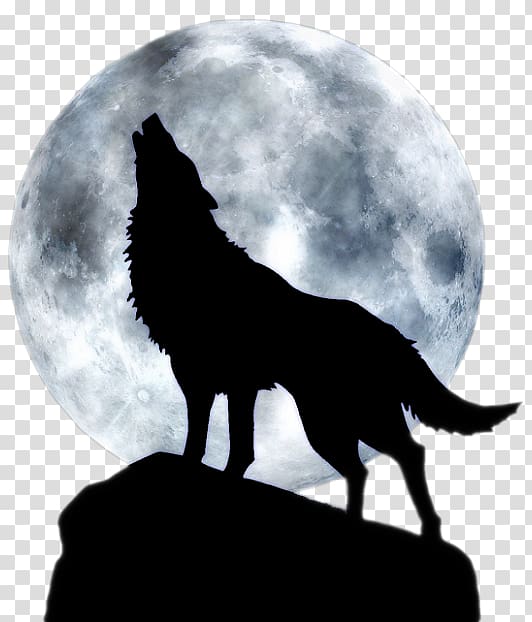 silhouette of wolf, Dog Arctic wolf Three Wolf Moon T-shirt, Full moon howl transparent background PNG clipart