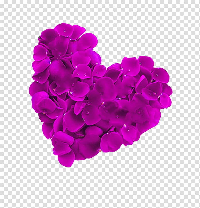 Petal Heart , Dream petals love transparent background PNG clipart