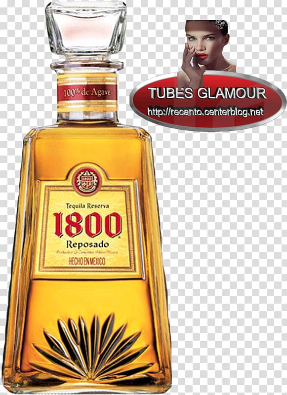 Liqueur 1800 Tequila Distilled beverage Whiskey, drink transparent background PNG clipart