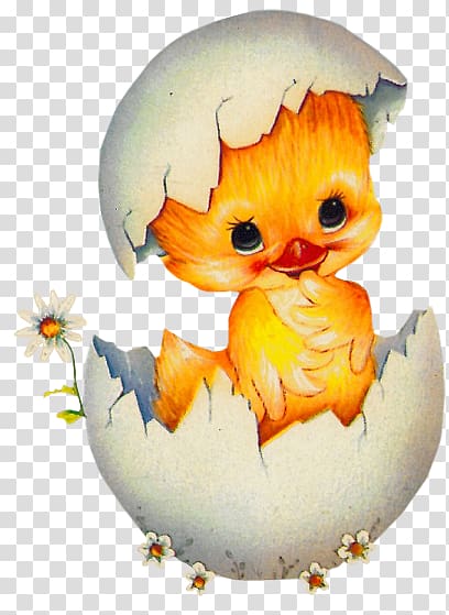 newborn chicks transparent background PNG clipart