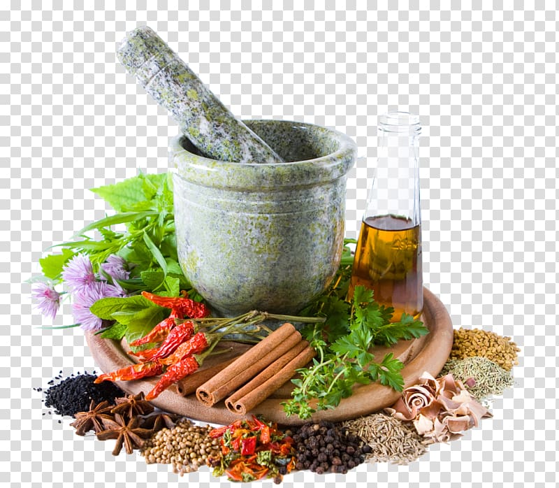 mortar and pestle illustration, Herbalism Traditional medicine Alternative Health Services, health transparent background PNG clipart