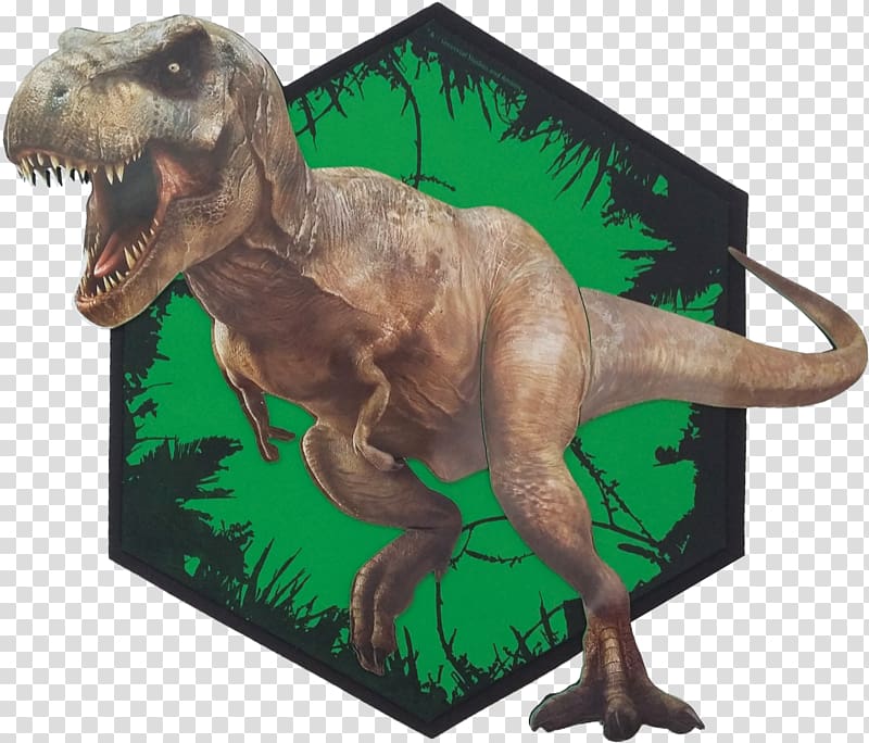 Tyrannosaurus Spinosaurus Giganotosaurus Dinosaur Theropods, dinosaur transparent background PNG clipart