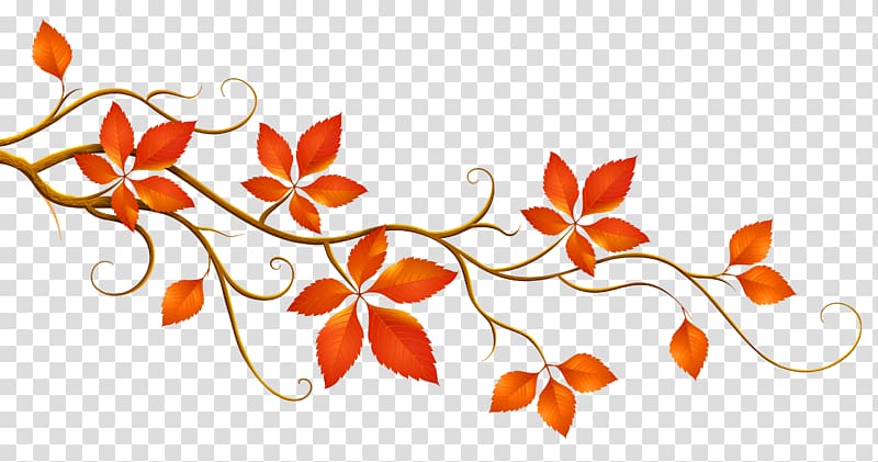Autumn leaf color Branch , Leaf transparent background PNG clipart