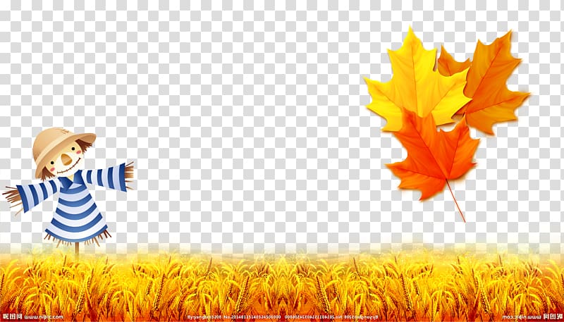 Hand painted autumn leaves transparent background PNG clipart