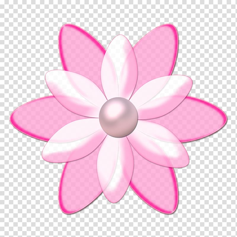 Flower Drawing Animation, flor transparent background PNG clipart