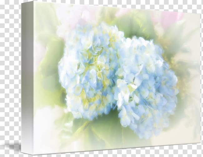 Hydrangea Floral design Cut flowers Flower bouquet, flower transparent background PNG clipart