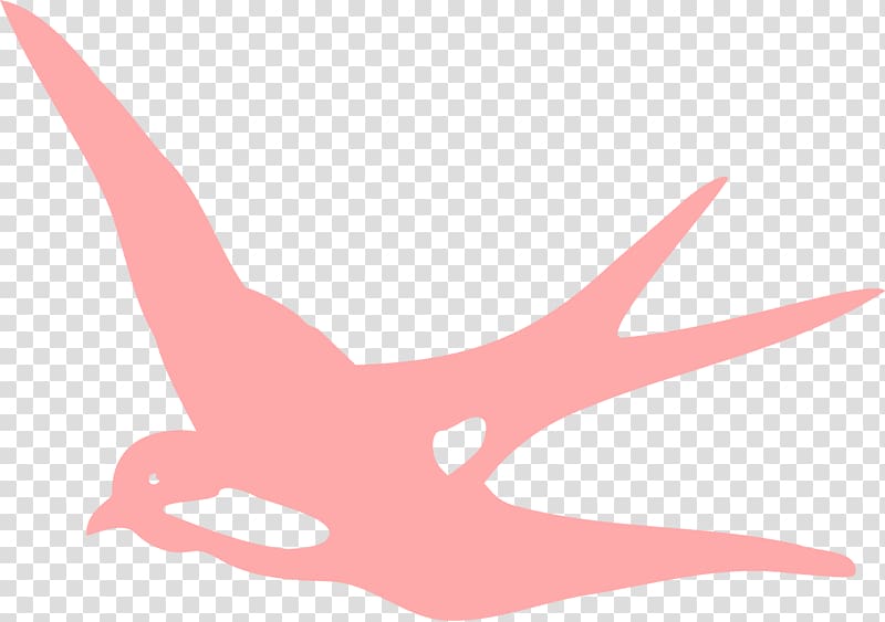 Swallow Bird flight , flying bird transparent background PNG clipart