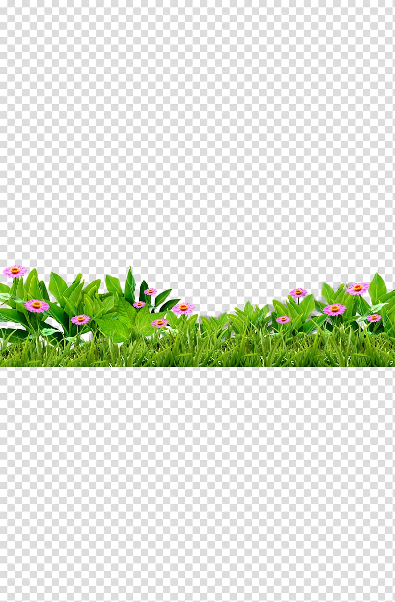 , Grass, flowers, green, flower transparent background PNG clipart