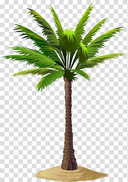 Asian palmyra palm Date palm Coconut Babassu , palm leaf border transparent background PNG clipart
