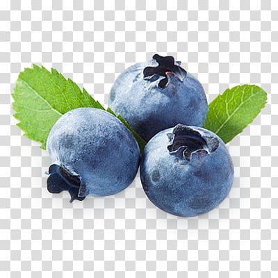 Blueberries transparent background PNG clipart