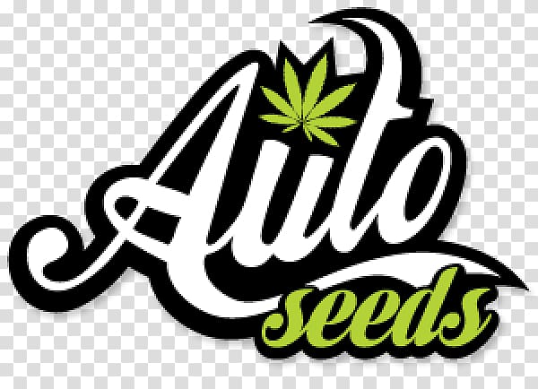 Autoflowering cannabis Seed bank Cannabis ruderalis, cannabis transparent background PNG clipart
