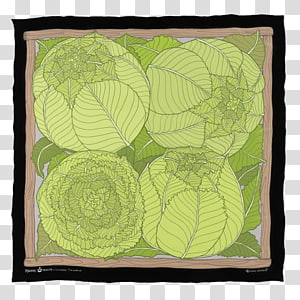 Leaf Green, Leaf transparent background PNG clipart thumbnail