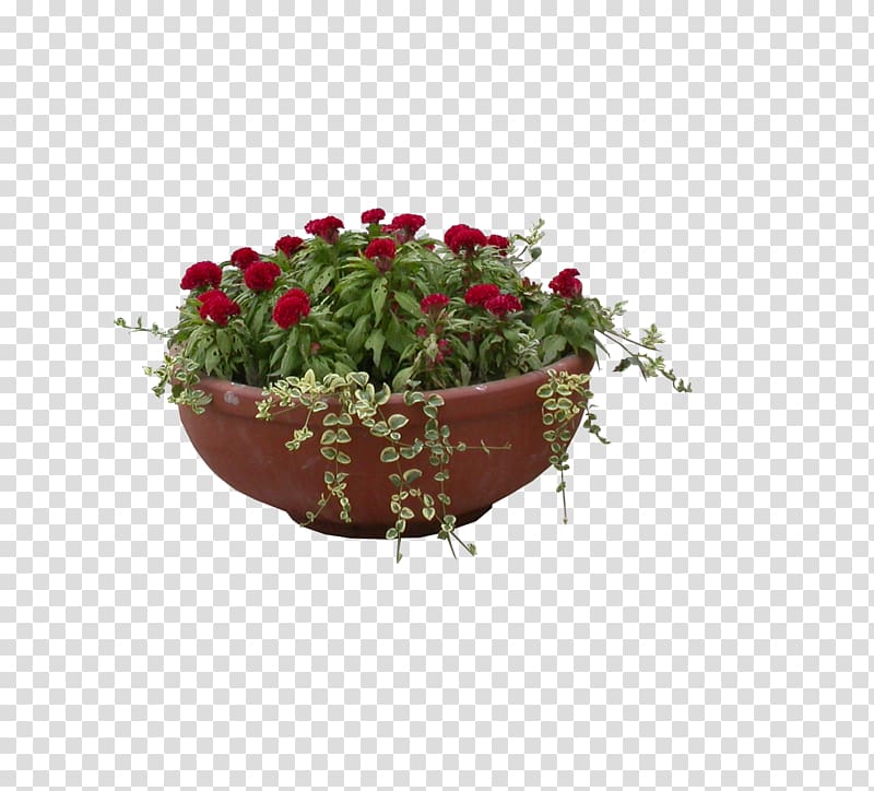 Garden roses Bonsai Flowerpot Gratis, stone basin of safflower and plant transparent background PNG clipart