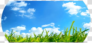 Nanotechnology Chroma ATE Industrial Nanotech Business, needle lead transparent background PNG clipart thumbnail