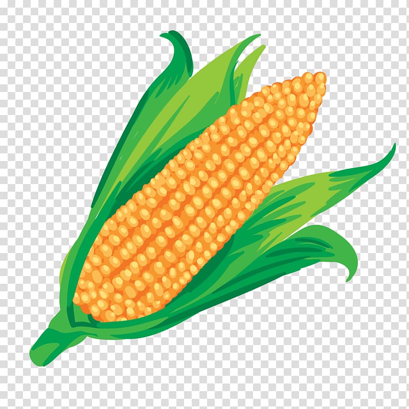 Maize Vegetable Corn on the cob, corn juice transparent background PNG clipart