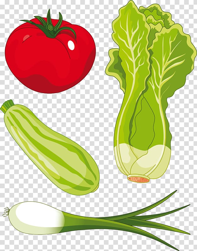 Romaine lettuce Salad , There vegetable plot transparent background PNG clipart
