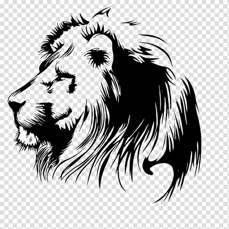 Lion Wall decal Bumper sticker, lion transparent background PNG clipart