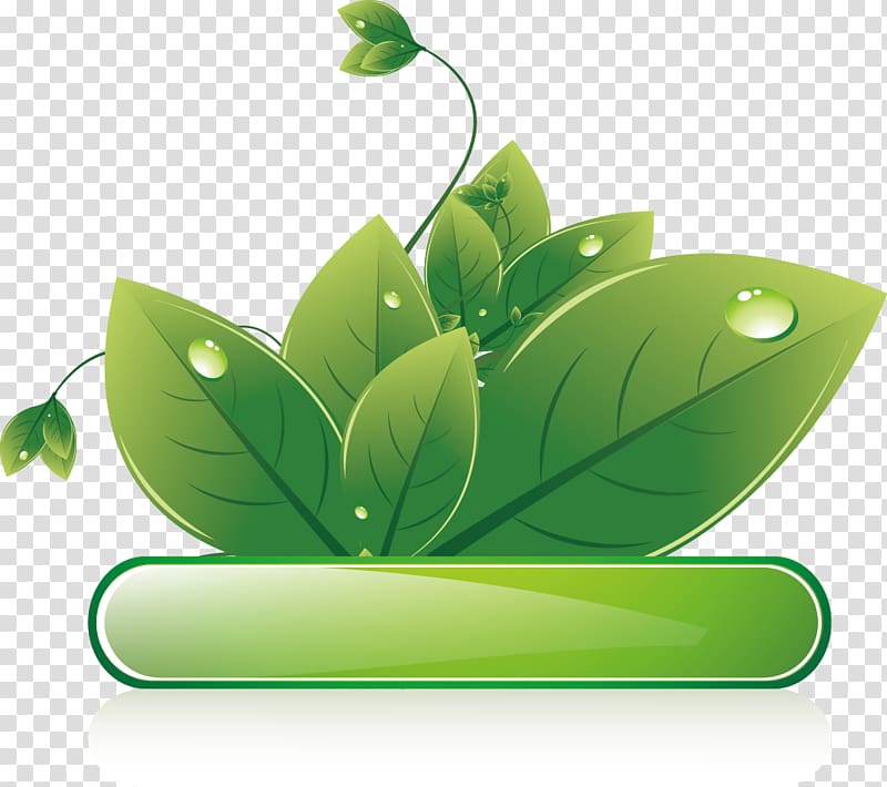 Ecodesign Euclidean , Green leaves textbox transparent background PNG clipart