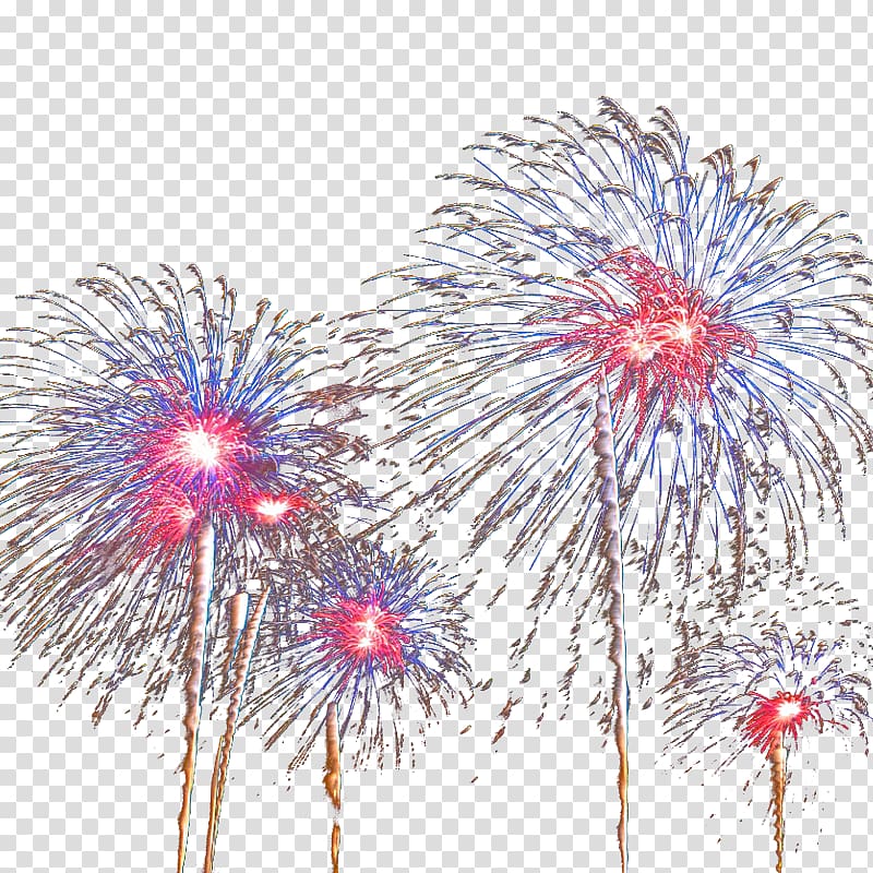 Nice Fireworks Pyrotechnics, Nice fireworks transparent background PNG clipart