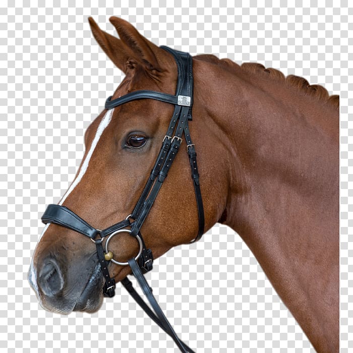 Horse Noseband Bridle Snaffle bit Equestrian, horse transparent background PNG clipart