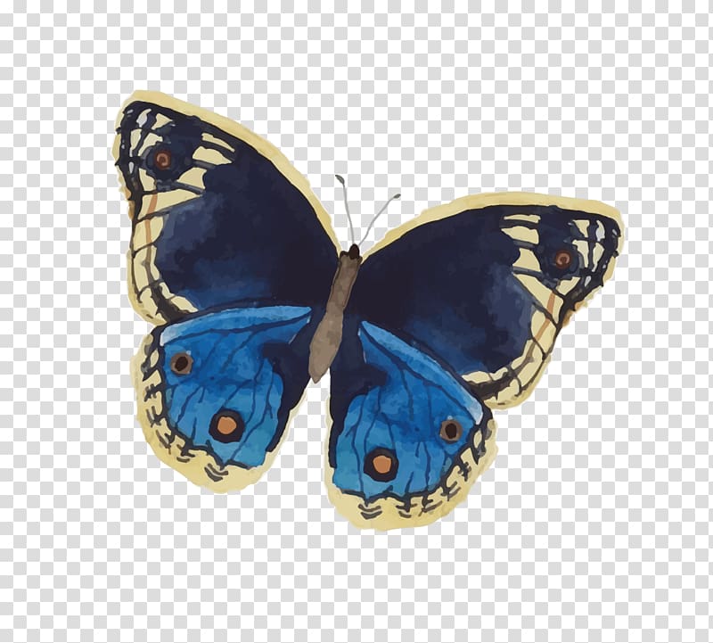 Butterfly Watercolor painting Insect, blue butterfly transparent background PNG clipart