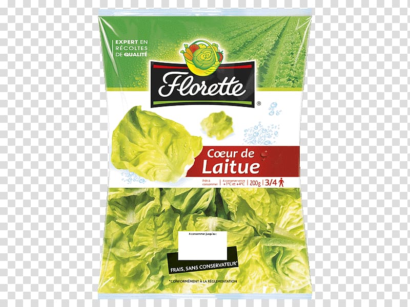 Romaine lettuce Vegetarian cuisine Food Basil Pimiento, Laitue transparent background PNG clipart