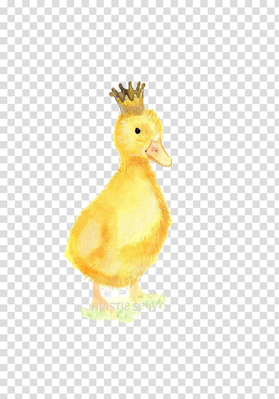 Duck Crown Illustration, duck transparent background PNG clipart