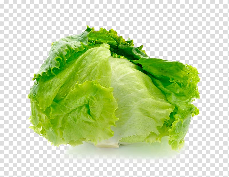 Iceberg lettuce Salad Vegetable Fruit Cultivar, salad transparent background PNG clipart