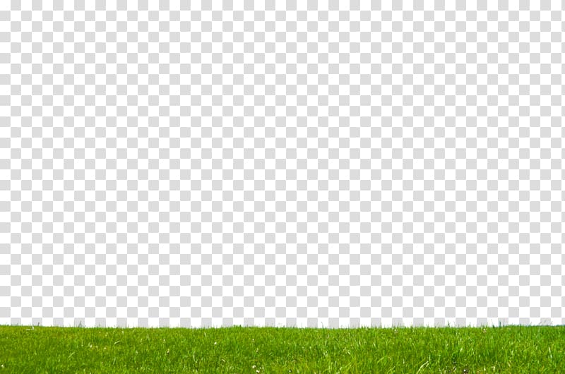 Lawn Crop Grassland Land lot Field Museum of Natural History, others transparent background PNG clipart