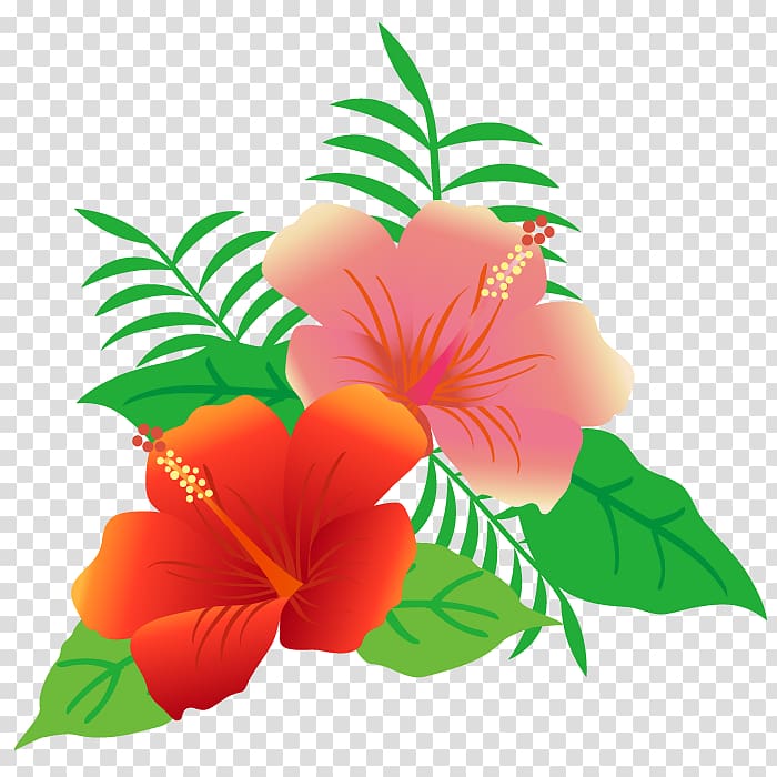 flowers and leaves of hibiscus., others transparent background PNG clipart flowers and leaves of hibiscus., others transparent background PNG clipart