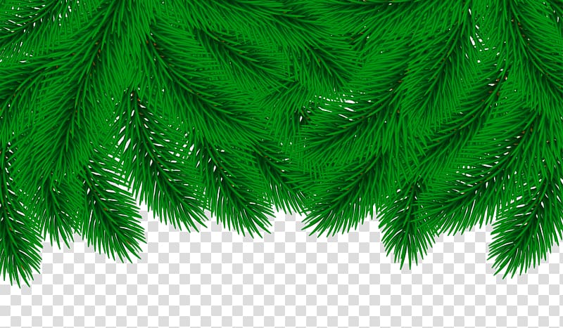 green garland , Christmas , Pine Border Decor transparent background PNG clipart