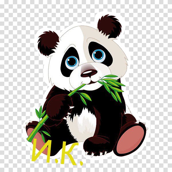 Giant panda Red panda Bear Drawing , bear transparent background PNG clipart