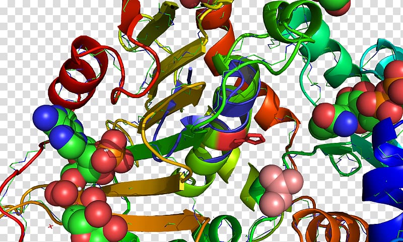 Glucose-6-phosphate dehydrogenase Nicotinamide adenine dinucleotide phosphate Glyceraldehyde 3-phosphate dehydrogenase Glutathione reductase, transparent background PNG clipart