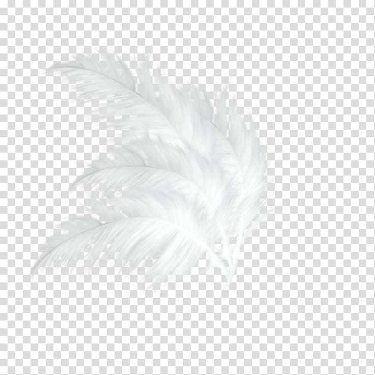 White Feather Black Pattern, Green Fresh Feather Decorative Patterns transparent background PNG clipart