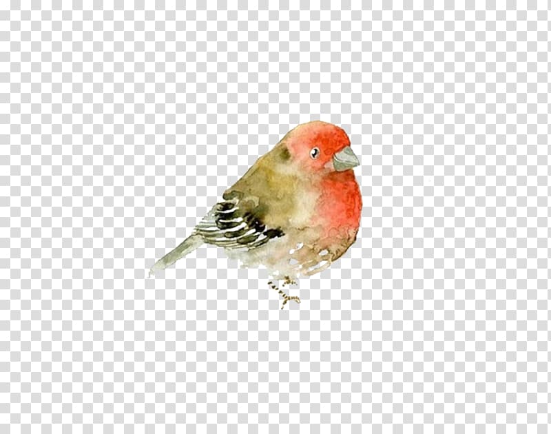 Italy Watercolor painting Animal, Sparrow close-up material transparent background PNG clipart