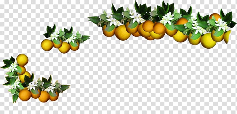 Orange Food Rangpur, Green Tree Branches transparent background PNG clipart