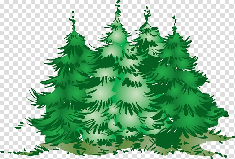 Decimal New Year tree , Fir Tree transparent background PNG clipart