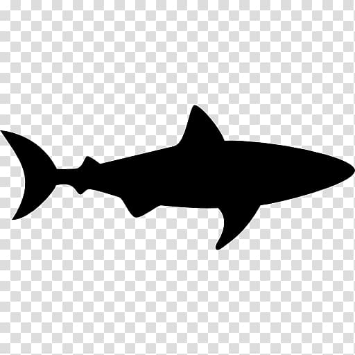 Hammerhead shark , sharks transparent background PNG clipart