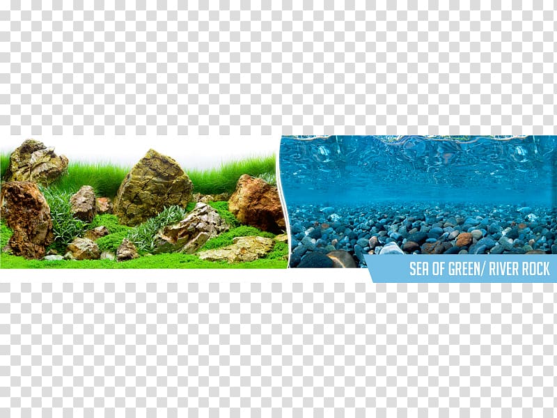 Sea of Thieves Plastic Aquarium Ecosystem Polyvinyl chloride, Sea Rock transparent background PNG clipart