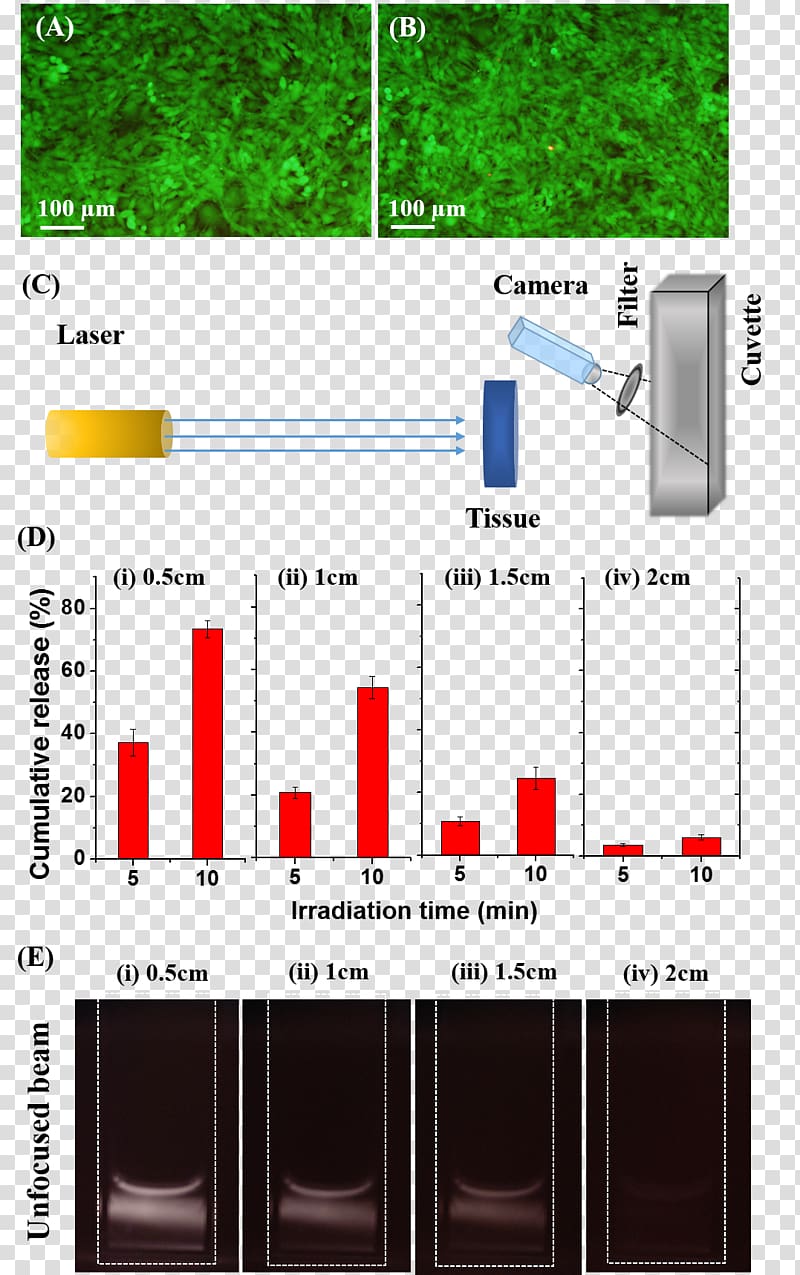 Upconverting nanoparticles n upconversion Fluorescein isothiocyanate Cell, drug-delivery transparent background PNG clipart