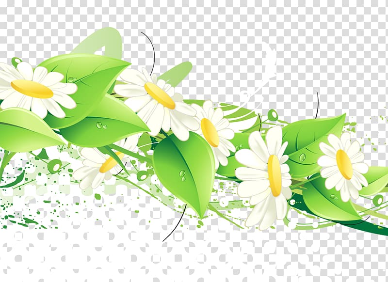 Flower Green , Chrysanthemum flowers transparent background PNG clipart