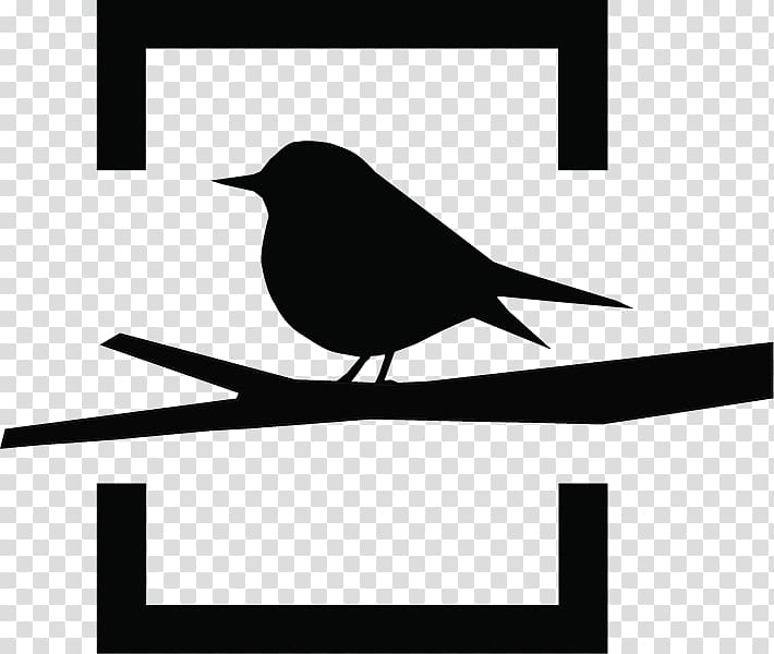 Bird Beak Cyprus wheatear Silhouette , Bird transparent background PNG clipart