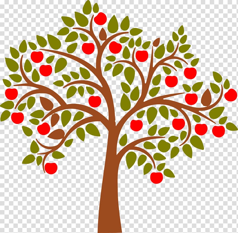 apple tree illustration, Apple Malus sylvestris Tree , Apple Tree Cartoon transparent background PNG clipart