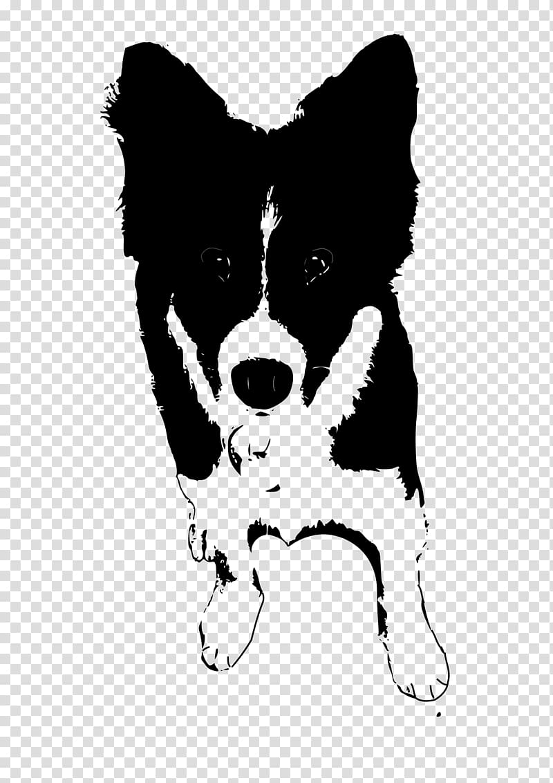 Border Collie Rough Collie Puppy , doberman transparent background PNG clipart