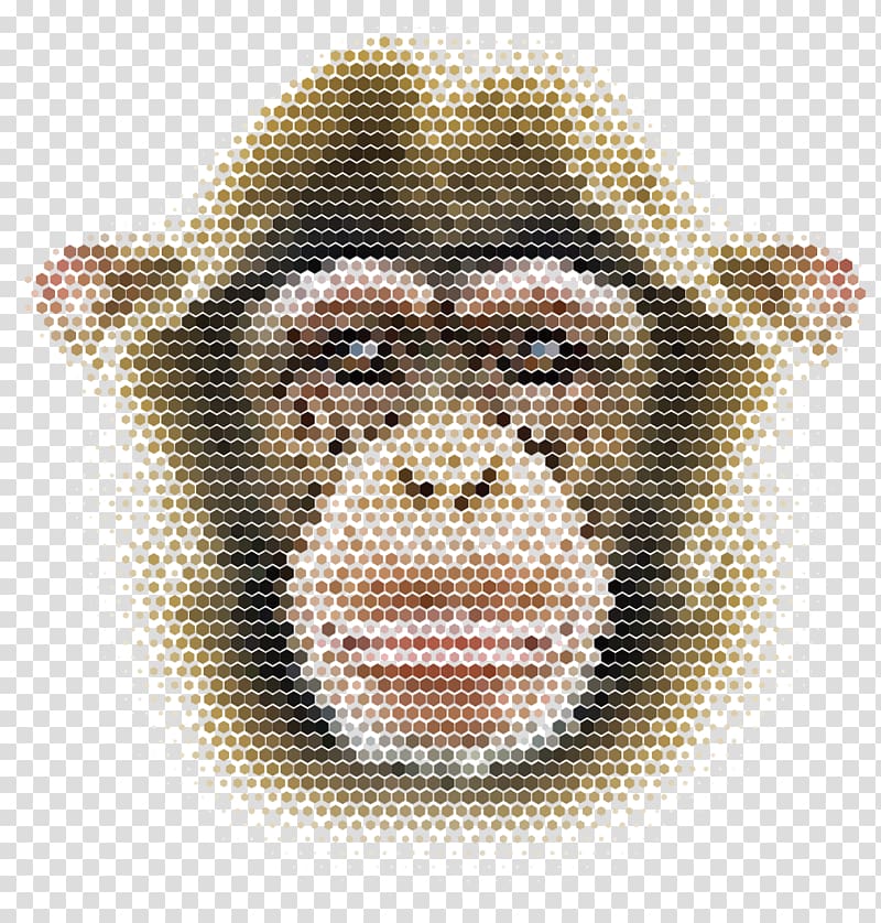 Мозаика обезьяны. Полигональная обезьяна. Мартышки мозаика. Фото мозаики обезьяны.