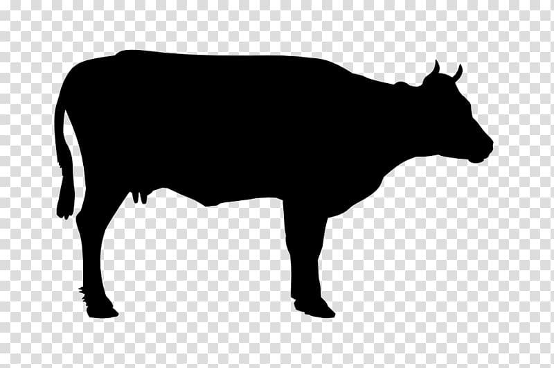 Hereford cattle , black cow siluete transparent background PNG clipart