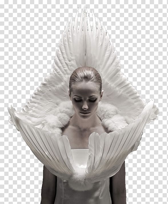 Kate Moss Haute couture Roadkill Designer Clothing, angel transparent background PNG clipart