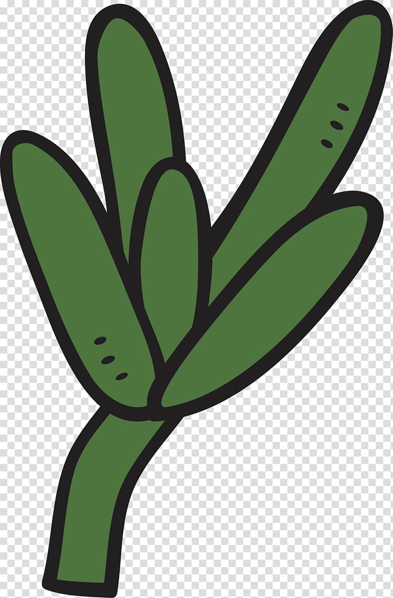 Plant Tropical rainforest Cactaceae Green, Striped cactus transparent background PNG clipart